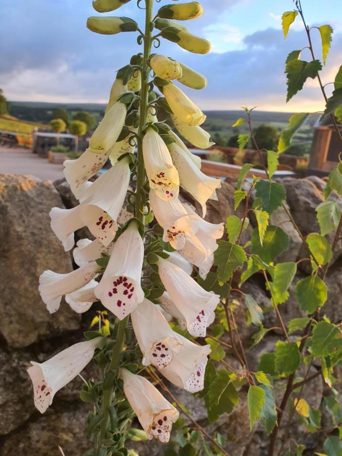Howgill Farm Bolton Abbey Appletreewick Eksteriør billede
